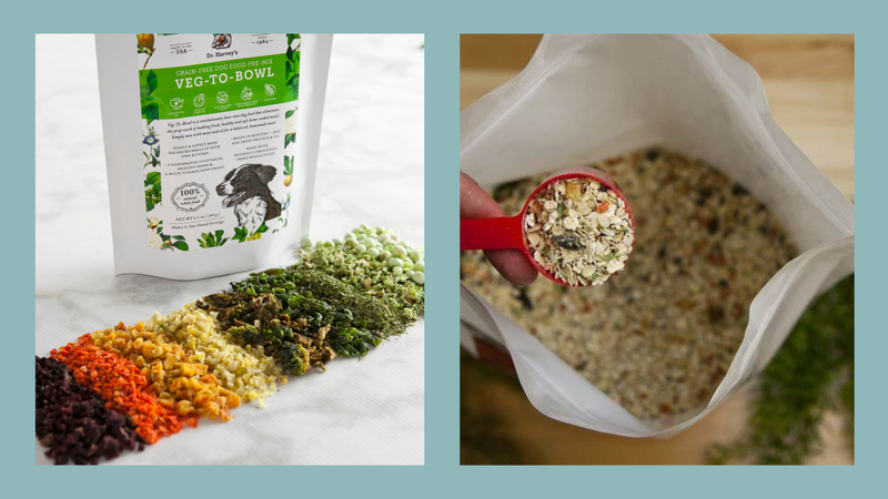 Dr. Harvey's Dog Food: Ditching the Kibble for a Whole Food Diet is Easier Than You Think