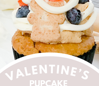 Pawsitively Sweet: Unleash the Love at Our Valentine's Pupcake Decorating Pawty!