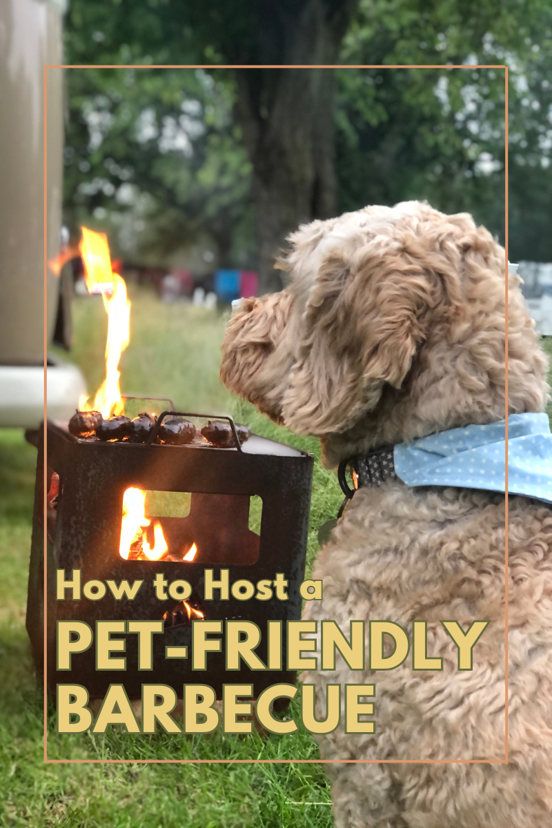 How to Host a Pet-Friendly BBQ or Picnic in Your Backyard