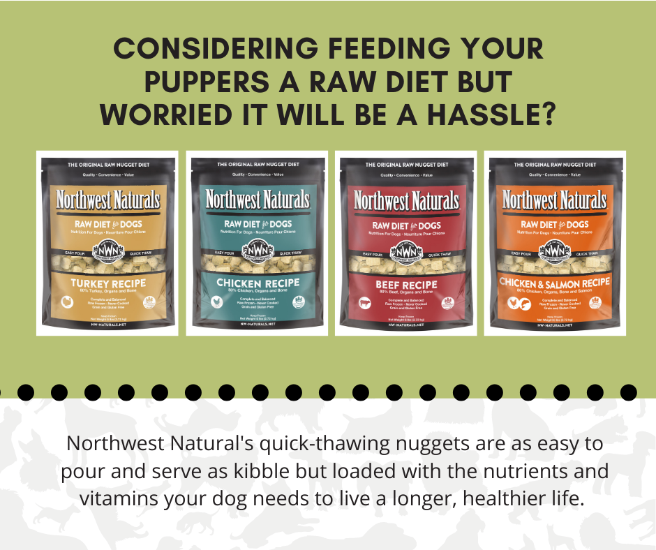 Video Interview:  Raw Diets & All About Northwest Naturals