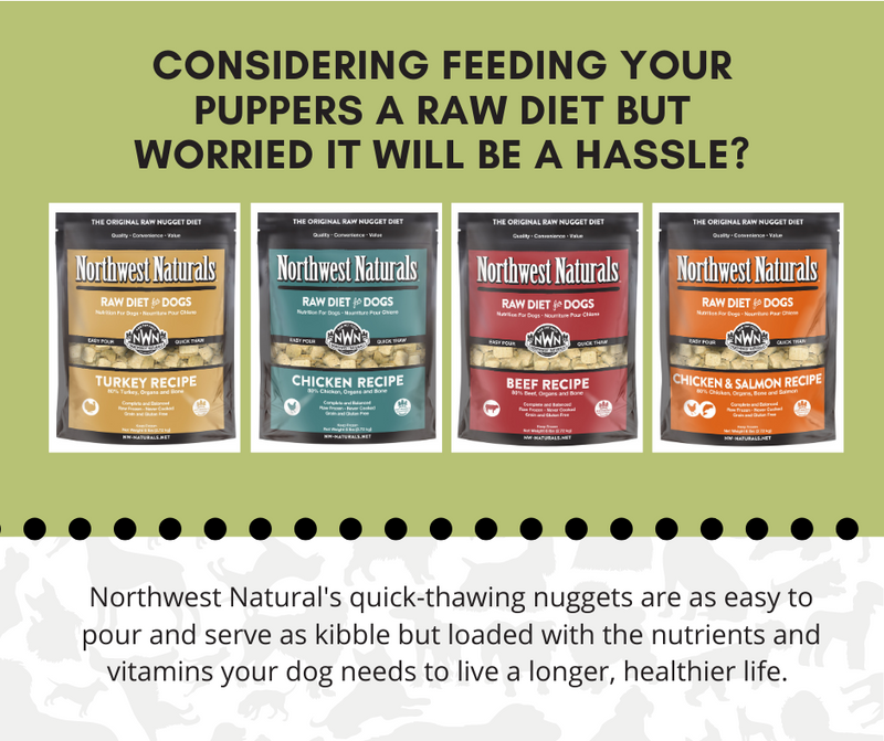 Video Interview:  Raw Diets & All About Northwest Naturals