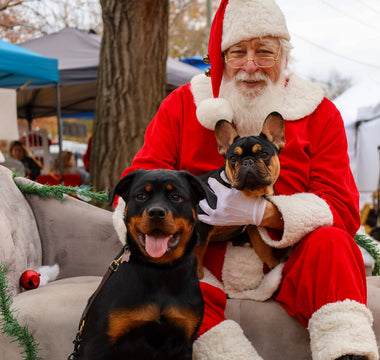 Paw-liday Magic: A Santa Paws Recap of Wagging Tails and Giving Hearts