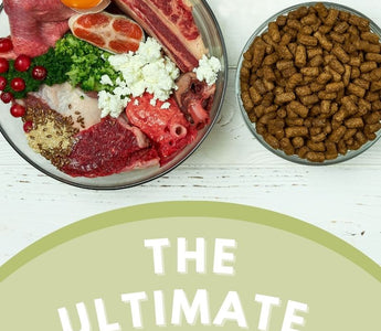 The Ultimate Guide to Choosing the Right Food for Your Furry Friend