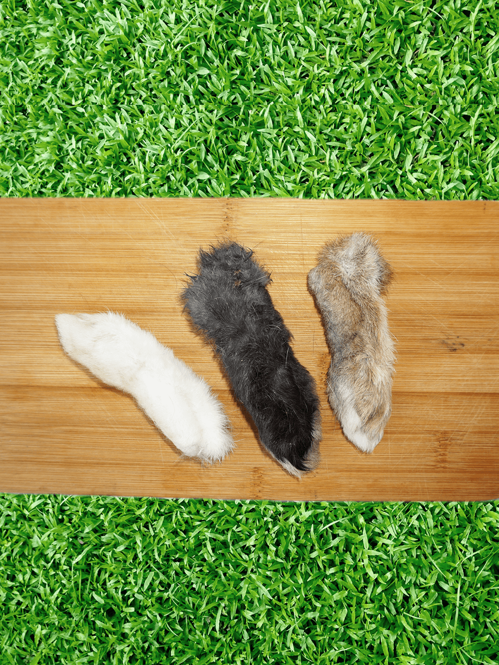 Webbed Foot Rabbit Furever Fierce Rabbit Feet Dog Chews – Pawsnickety Pets