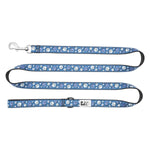 RC Leashes