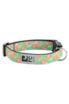 RC Clip Dog Collars