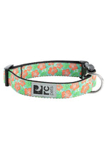 RC Clip Dog Collars