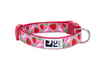RC Clip Collars