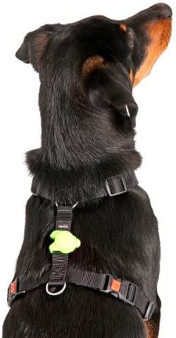 Spunky Pup Safety Light
