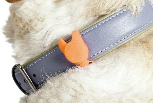 Spunky Pup Safety Light